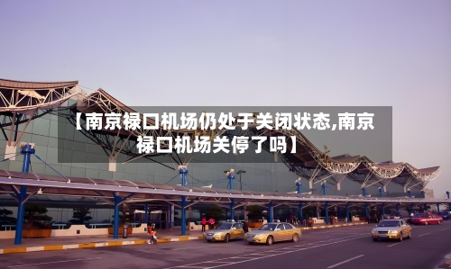 【南京禄口机场仍处于关闭状态,南京禄口机场关停了吗】