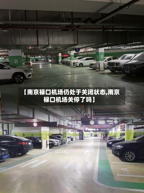 【南京禄口机场仍处于关闭状态,南京禄口机场关停了吗】-第3张图片