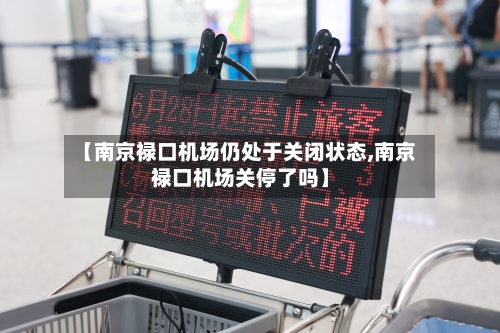 【南京禄口机场仍处于关闭状态,南京禄口机场关停了吗】-第2张图片