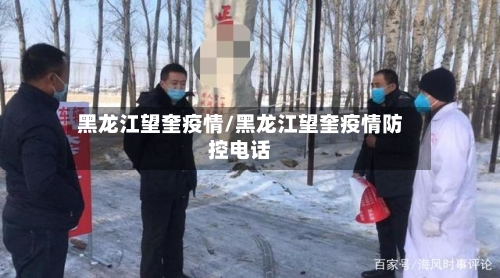 黑龙江望奎疫情/黑龙江望奎疫情防控电话-第3张图片