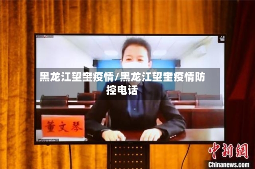 黑龙江望奎疫情/黑龙江望奎疫情防控电话-第2张图片