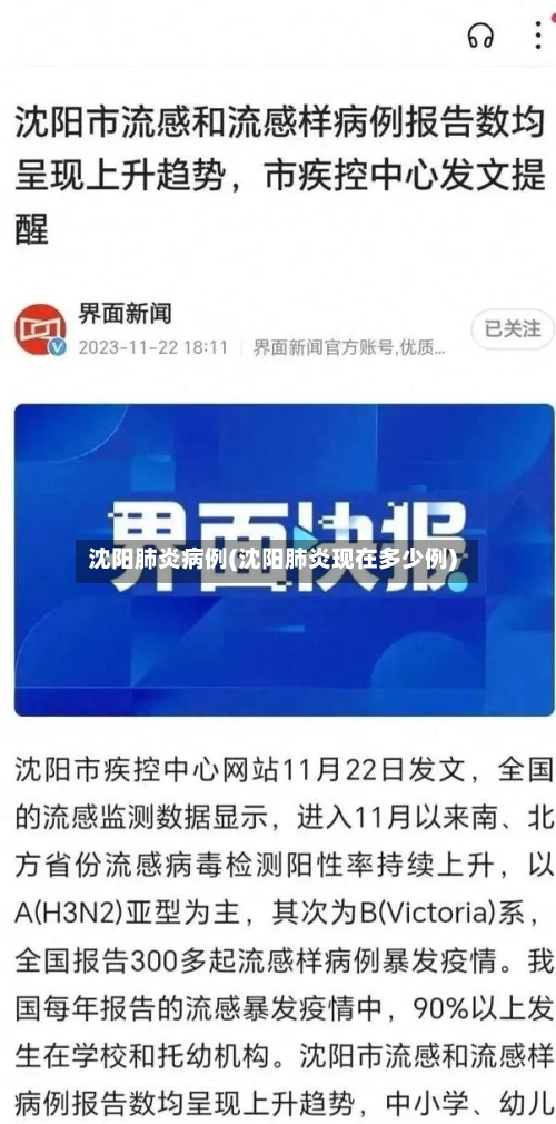 沈阳肺炎病例(沈阳肺炎现在多少例)