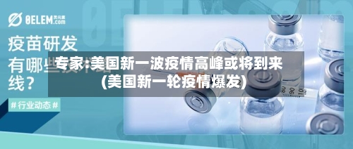 专家:美国新一波疫情高峰或将到来(美国新一轮疫情爆发)-第2张图片
