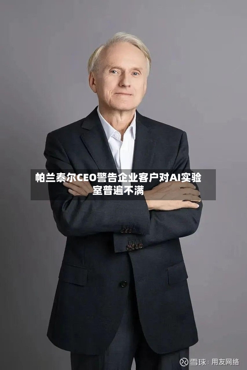 帕兰泰尔CEO警告企业客户对AI实验室普遍不满-第2张图片