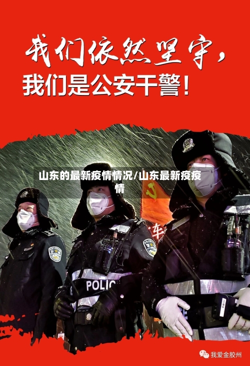 山东的最新疫情情况/山东最新疫疫情