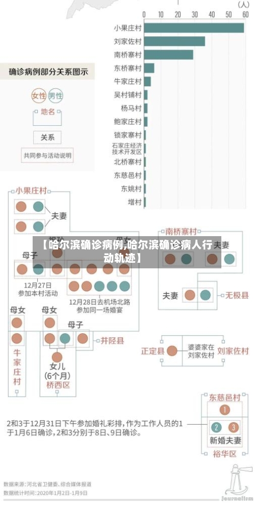 【哈尔滨确诊病例,哈尔滨确诊病人行动轨迹】