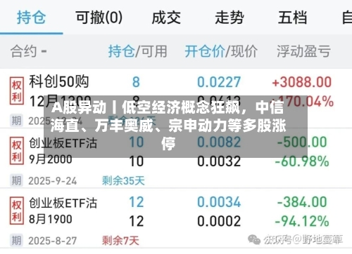 A股异动丨低空经济概念狂飙，中信海直、万丰奥威	、宗申动力等多股涨停-第2张图片
