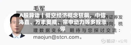 A股异动丨低空经济概念狂飙，中信海直、万丰奥威、宗申动力等多股涨停