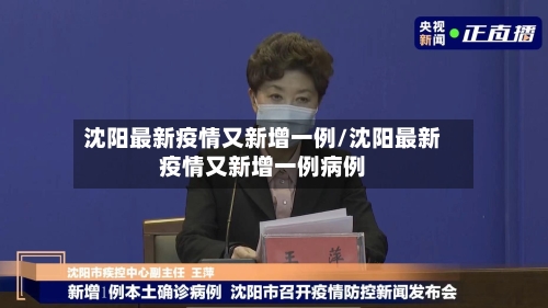 沈阳最新疫情又新增一例/沈阳最新疫情又新增一例病例-第3张图片
