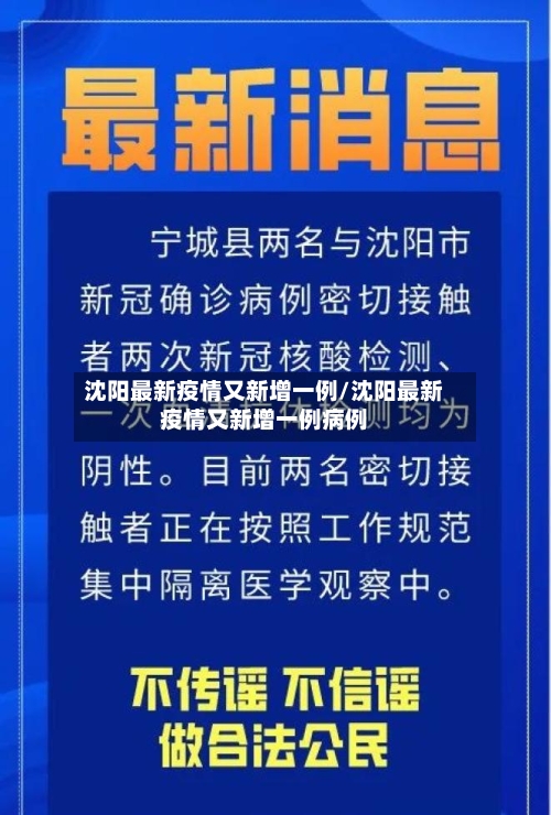 沈阳最新疫情又新增一例/沈阳最新疫情又新增一例病例-第2张图片