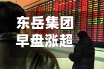 东岳集团早盘涨超10% 机构长期看三代制冷剂仍有较大涨价空间