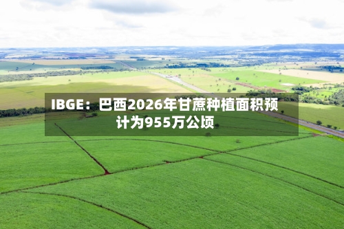 IBGE：巴西2026年甘蔗种植面积预计为955万公顷