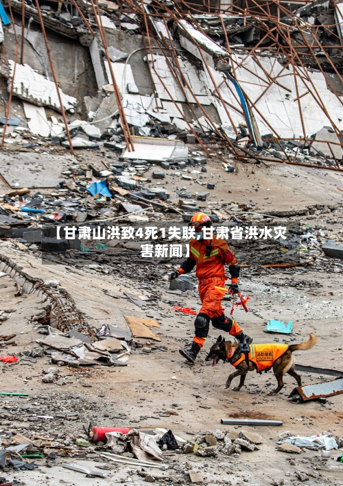 【甘肃山洪致4死1失联,甘肃省洪水灾害新闻】-第3张图片