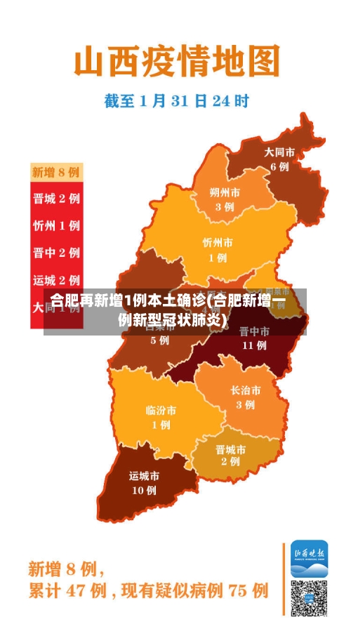 合肥再新增1例本土确诊(合肥新增一例新型冠状肺炎)-第2张图片