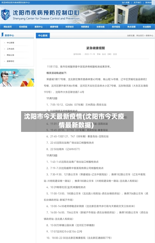 沈阳市今天最新疫情(沈阳市今天疫情最新数据)-第2张图片