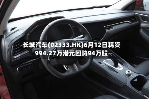 长城汽车(02333.HK)6月12日耗资994.27万港元回购94万股