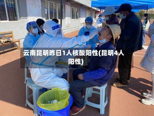 云南昆明昨日1人核酸阳性(昆明4人阳性)