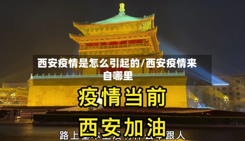 西安疫情是怎么引起的/西安疫情来自哪里-第2张图片