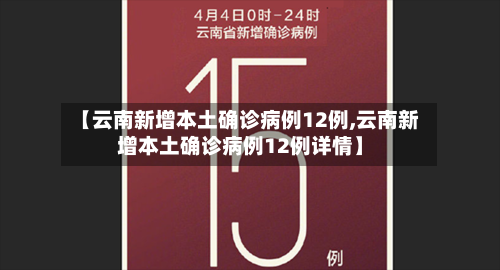 【云南新增本土确诊病例12例,云南新增本土确诊病例12例详情】-第2张图片