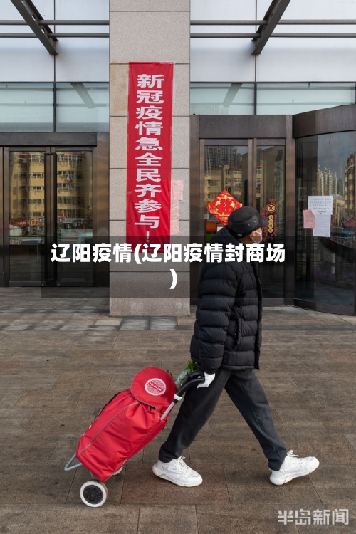 辽阳疫情(辽阳疫情封商场)-第3张图片