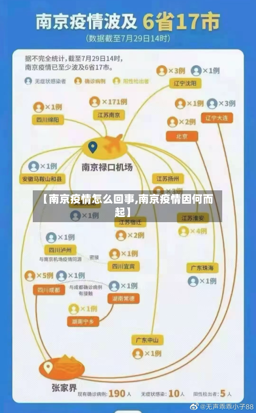 【南京疫情怎么回事,南京疫情因何而起】-第2张图片