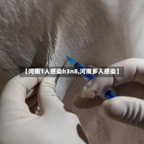 【河南1人感染h3n8,河南多人感染】-第2张图片