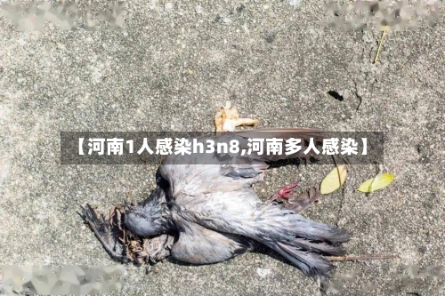 【河南1人感染h3n8,河南多人感染】-第3张图片