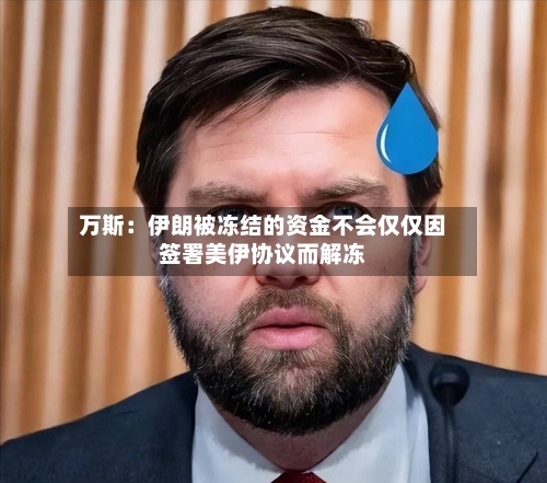 万斯:伊朗被冻结的资金不会仅仅因签署美伊协议而解冻-第2张图片