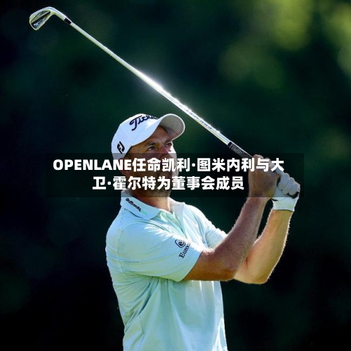 OPENLANE任命凯利·图米内利与大卫·霍尔特为董事会成员