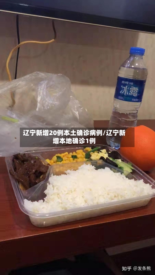 辽宁新增20例本土确诊病例/辽宁新增本地确诊1例