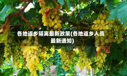 各地返乡隔离最新政策(各地返乡人员最新通知)-第2张图片