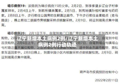 辽宁新增本土病例2例/辽宁新增本土病例2例行动轨迹-第2张图片