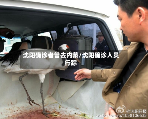 沈阳确诊者曾去内蒙/沈阳确诊人员行踪-第2张图片