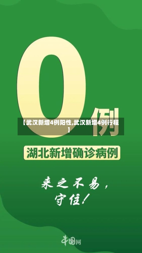 【武汉新增4例阳性,武汉新增4例行程】-第3张图片