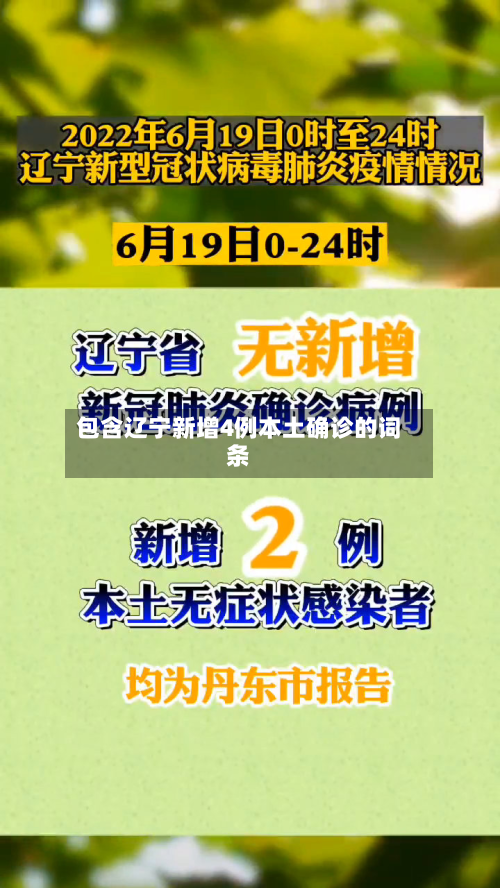 包含辽宁新增4例本土确诊的词条-第2张图片
