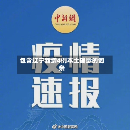 包含辽宁新增4例本土确诊的词条