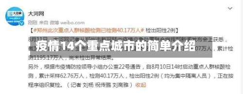 疫情14个重点城市的简单介绍