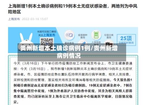 贵州新增本土确诊病例1例/贵州新增病例情况-第3张图片
