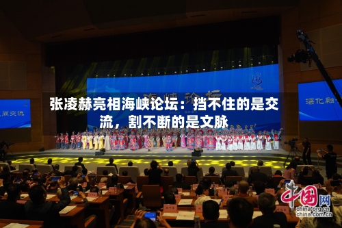 张凌赫亮相海峡论坛：挡不住的是交流，割不断的是文脉-第3张图片