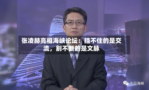 张凌赫亮相海峡论坛：挡不住的是交流	，割不断的是文脉-第2张图片