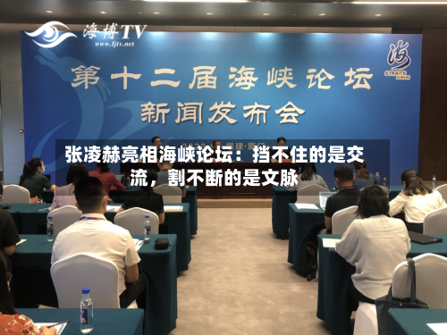 张凌赫亮相海峡论坛：挡不住的是交流，割不断的是文脉