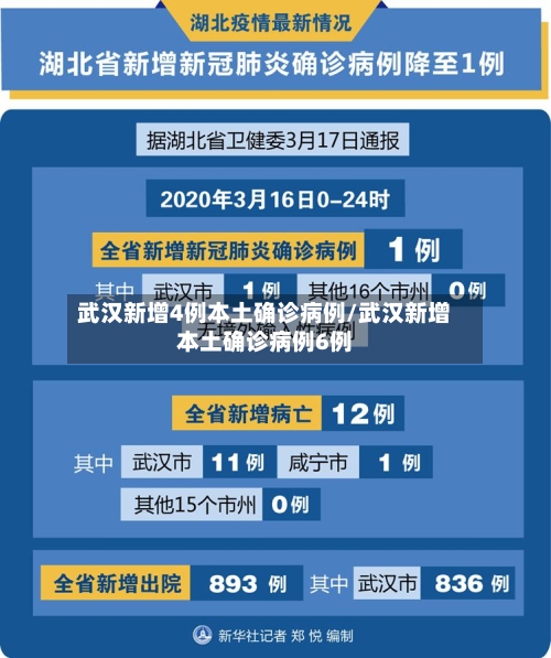 武汉新增4例本土确诊病例/武汉新增本土确诊病例6例