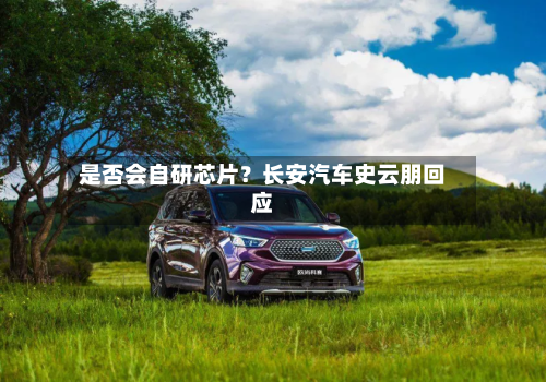 是否会自研芯片？长安汽车史云朋回应-第3张图片