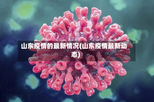 山东疫情的最新情况(山东疫情最新动态)