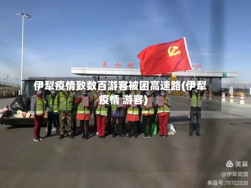 伊犁疫情致数百游客被困高速路(伊犁疫情 游客)