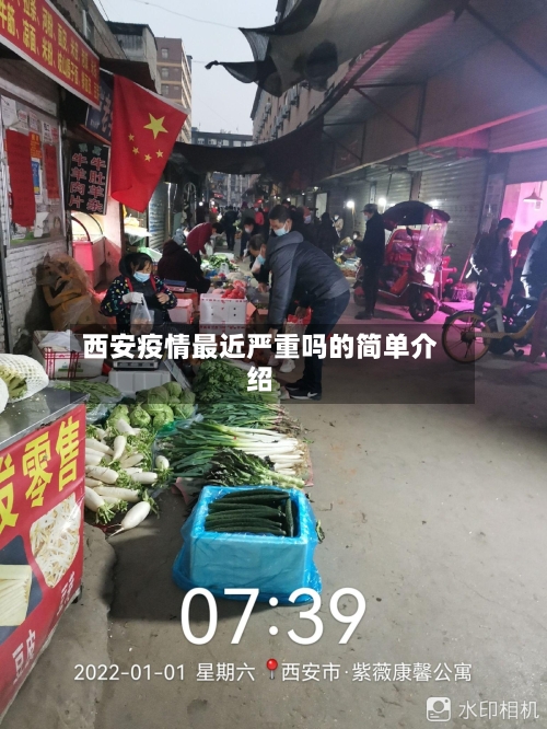 西安疫情最近严重吗的简单介绍-第2张图片