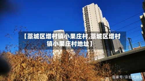【藁城区增村镇小果庄村,藁城区增村镇小果庄村地址】-第2张图片