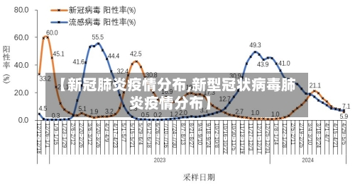 【新冠肺炎疫情分布,新型冠状病毒肺炎疫情分布】-第3张图片