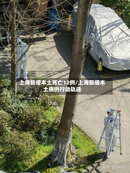 上海新增本土死亡12例/上海新增本土病例行动轨迹-第3张图片