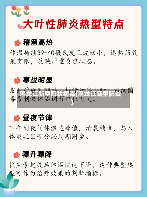 黑龙江新型冠状病毒(黑龙江新型肺炎)-第3张图片